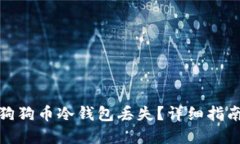 : 如何应对狗狗币冷钱包丢失？详细指南与解决方