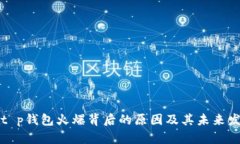 : 揭秘t p钱包火爆背后的原因及其未来发展潜力