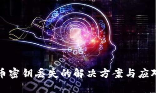 比特币密钥丢失的解决方案与应对策略