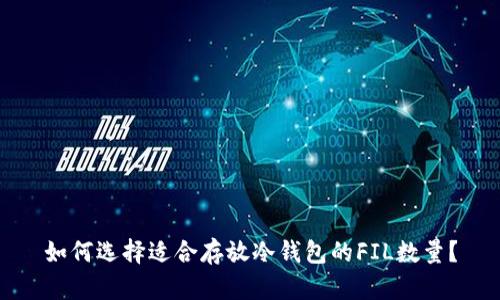 如何选择适合存放冷钱包的FIL数量？