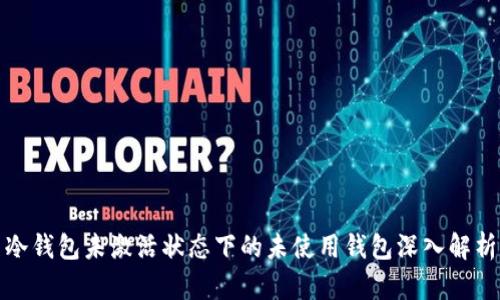 冷钱包未激活状态下的未使用钱包深入解析