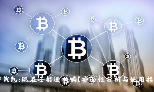 TP钱包：现在还能进入吗？安全性分析与使用指南