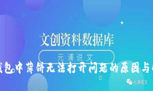 探讨TP钱包中薄饼无法打开问题的原因与解决方案