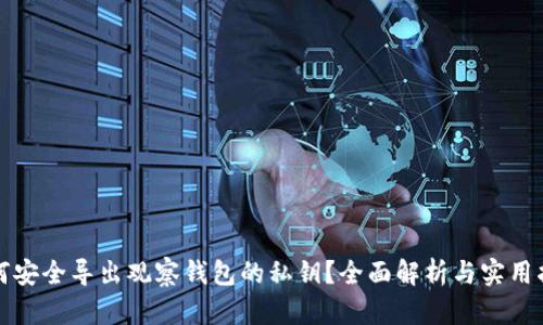 如何安全导出观察钱包的私钥？全面解析与实用指南