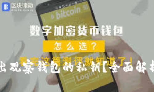 如何安全导出观察钱包的私钥？全面解析与实用指南