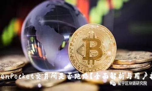 TokenPocket交易所是否跑路？全面解析与用户指南