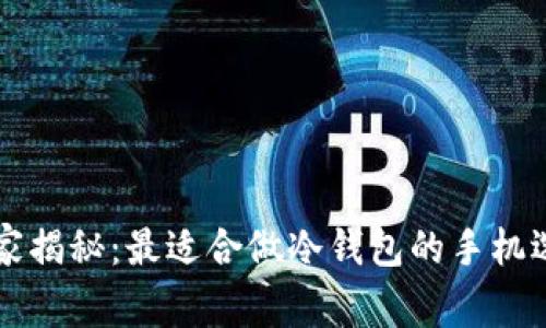 专家独家揭秘：最适合做冷钱包的手机选择秘诀