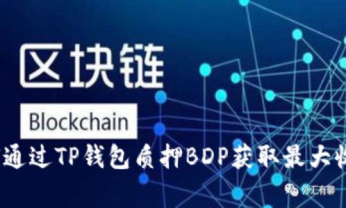 专家揭秘：如何通过TP钱包质押BDP获取最大收益的独家秘诀