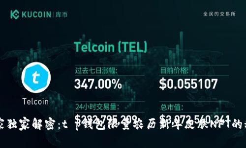 专家独家解密：t p钱包限量农历新年皮肤NFT的秘诀