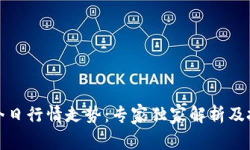 波场币今日行情走势：专家独家解析及投资秘诀