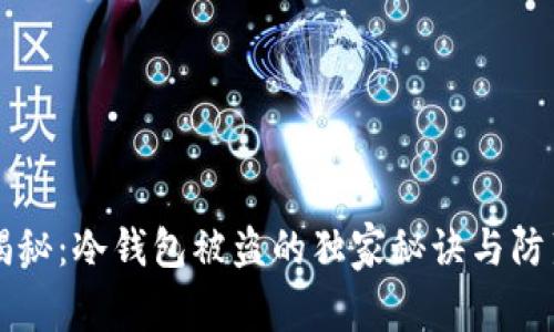 专家揭秘：冷钱包被盗的独家秘诀与防范技巧