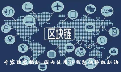 专家独家揭秘：国内使用TP钱包的终极秘诀