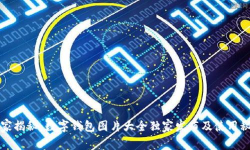 专家揭秘：数字钱包图片大全独家发布及使用秘诀