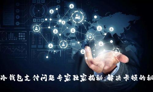 TP冷钱包支付问题专家独家揭秘：解决卡顿的秘诀