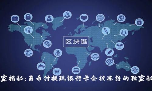 专家揭秘：易币付提现银行卡会被冻结的独家秘诀