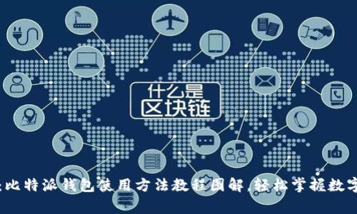 专家独家揭秘：比特派钱包使用方法教程图解，轻松掌握数字资产管理秘诀