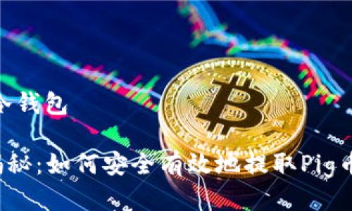 pig币提取冷钱包

专家独家揭秘：如何安全有效地提取Pig币到冷钱包？