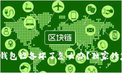 专家揭秘：冷钱包设备坏了怎么办？独家修复秘诀大公开