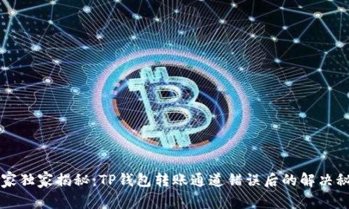 专家独家揭秘：TP钱包转账通道错误后的解决秘诀