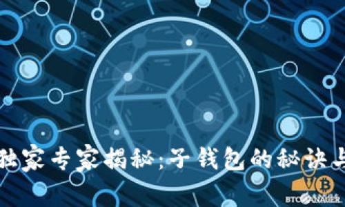 TP钱包的独家专家揭秘：子钱包的秘诀与使用技巧