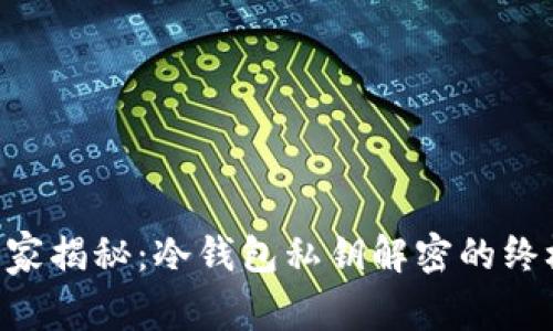 专家独家揭秘：冷钱包私钥解密的终极秘诀!