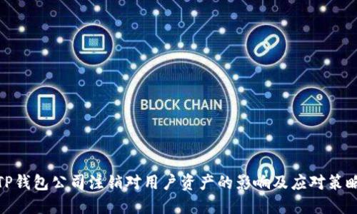 TP钱包公司注销对用户资产的影响及应对策略