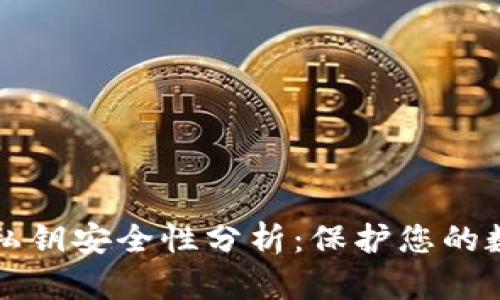TP钱包私钥安全性分析：保护您的数字资产