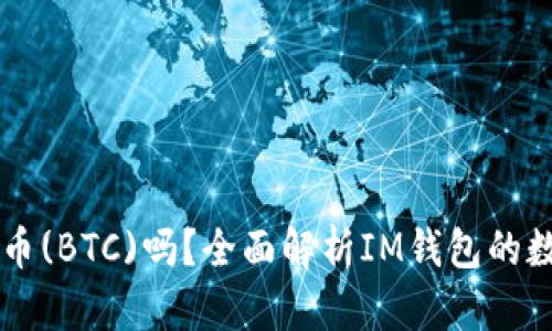 IM钱包支持比特币(BTC)吗？全面解析IM钱包的数字货币支持情况